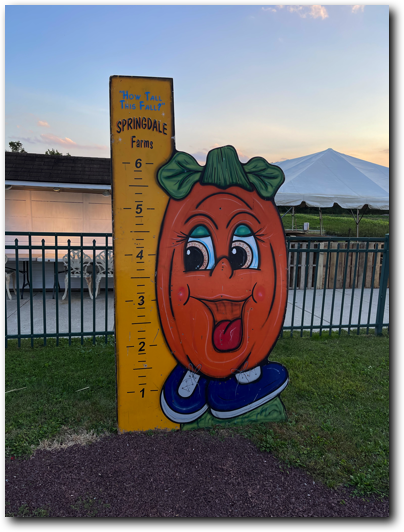 ruler board