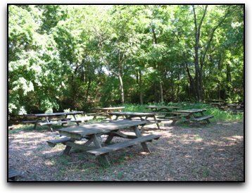 Hayride picnic site