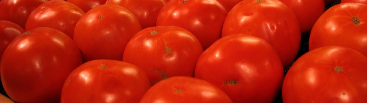 Jersey Tomatoes